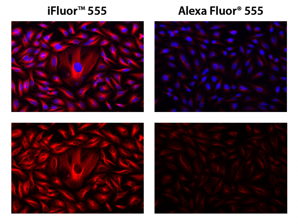 https://img.medsci.cn/e73eefcea40976357f460123cbf1e819c54e5106c9b457225be13b1cbc991aff.png