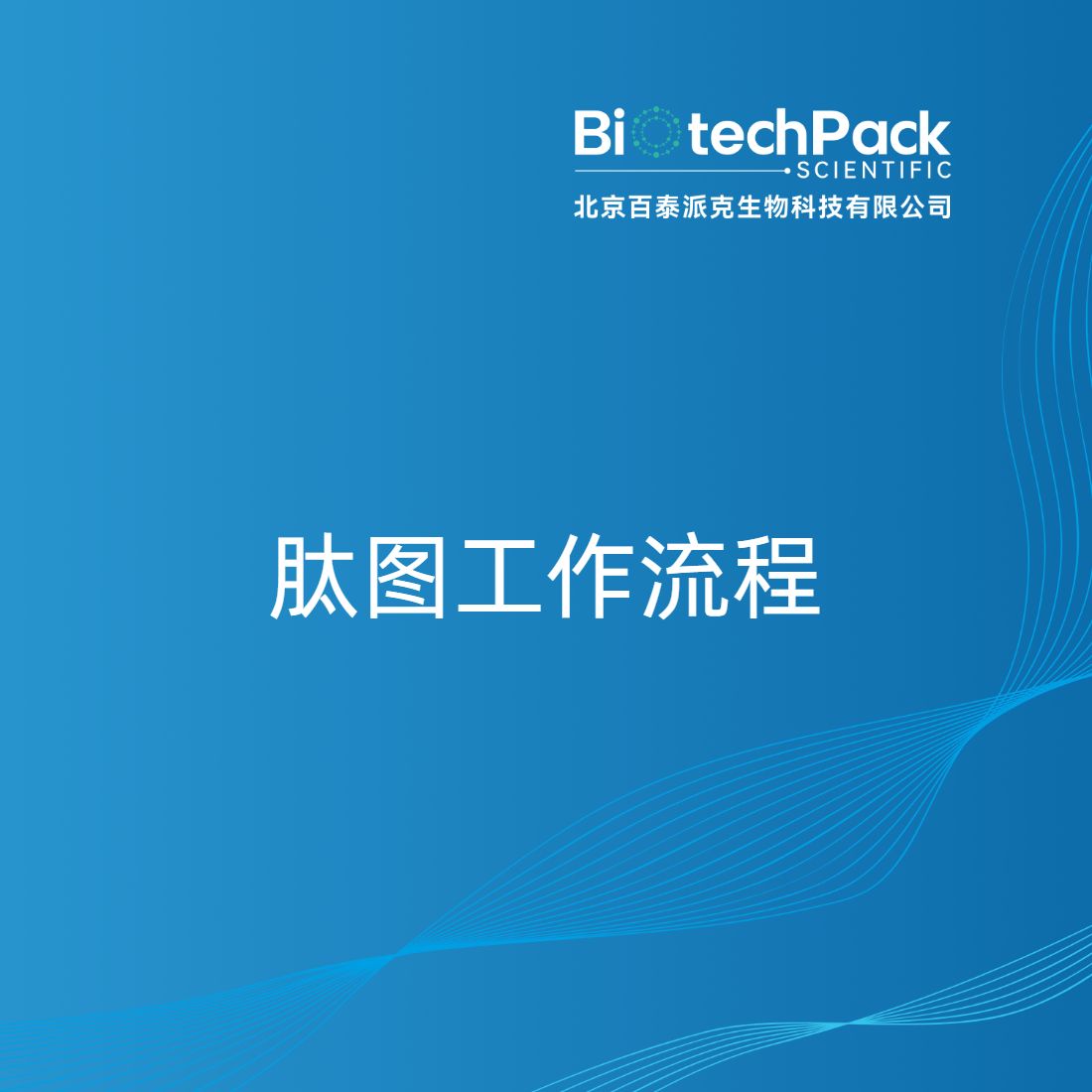 肽图工作流程