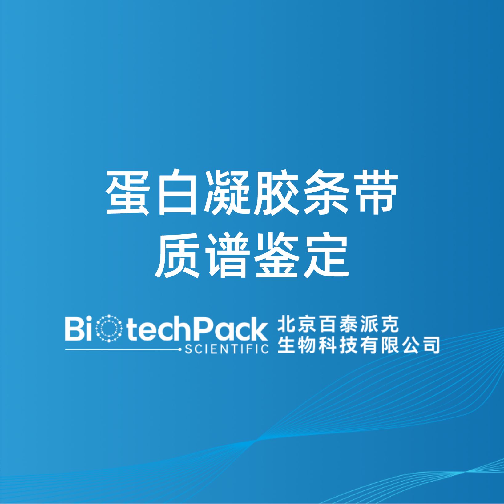 蛋白凝膠條帶質譜鑒定