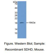 https://msimg.bioon.com/bionline/goods-no-pic.png