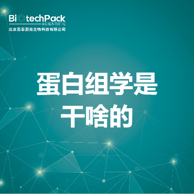 蛋白组学是干啥的