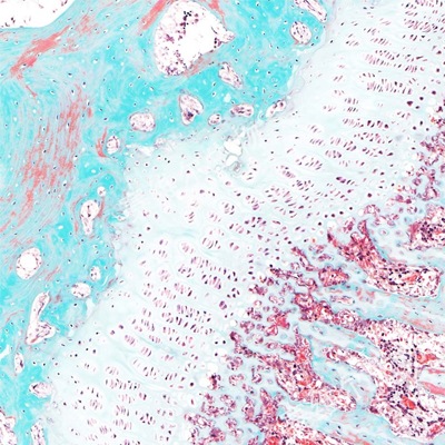 https://msimg.bioon.com/bionline/goods-no-pic.png