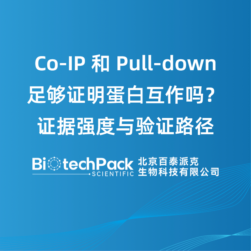 Co-IP 和 Pull-down 足够证明蛋白互作吗？证据强度与验证路径
