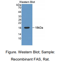 https://msimg.bioon.com/bionline/goods-no-pic.png