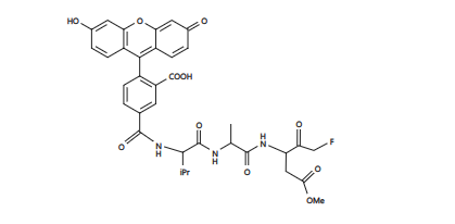 https://msimg.bioon.com/bionline/goods-no-pic.png