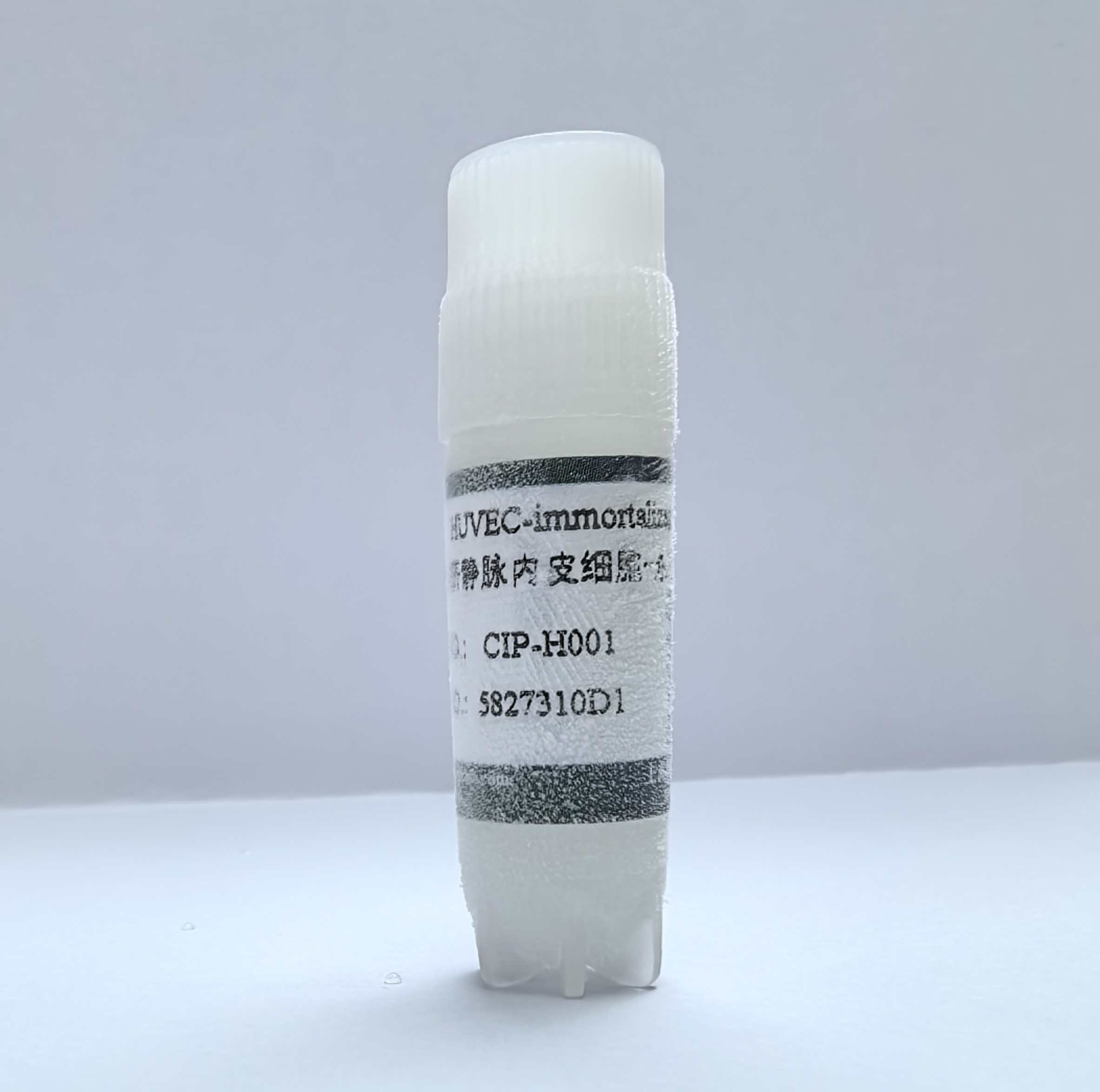 人臍靜脈內皮細胞-永生化