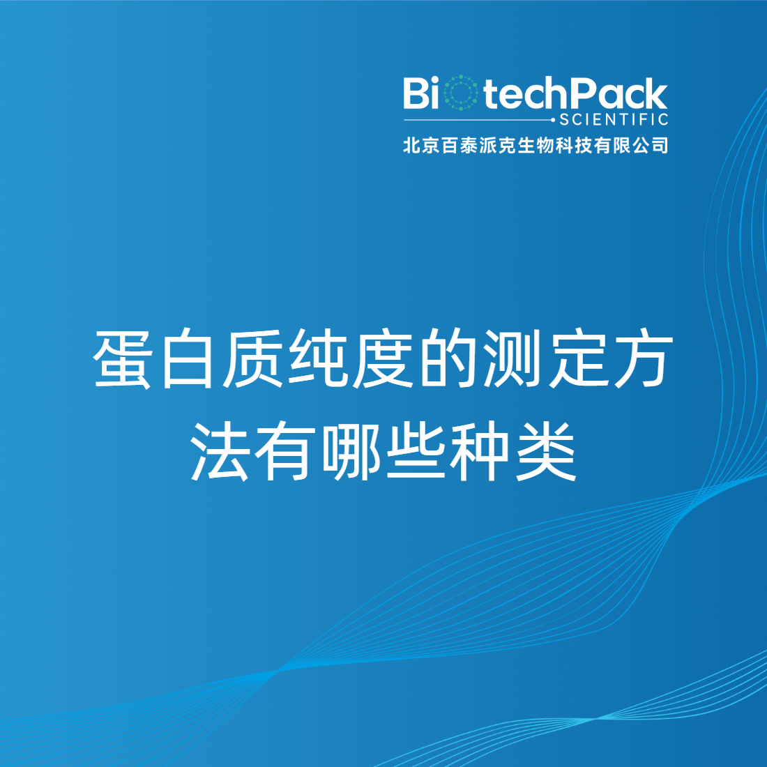 蛋白质纯度的测定方法有哪些种类