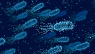 Dig Dis Sci：细菌类型对自发性细菌性腹膜炎临床结局的影响