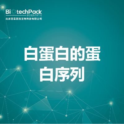 白蛋白的蛋白序列