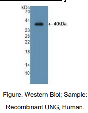 https://msimg.bioon.com/bionline/goods-no-pic.png