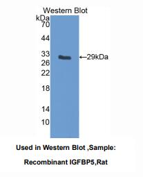 https://msimg.bioon.com/bionline/goods-no-pic.png