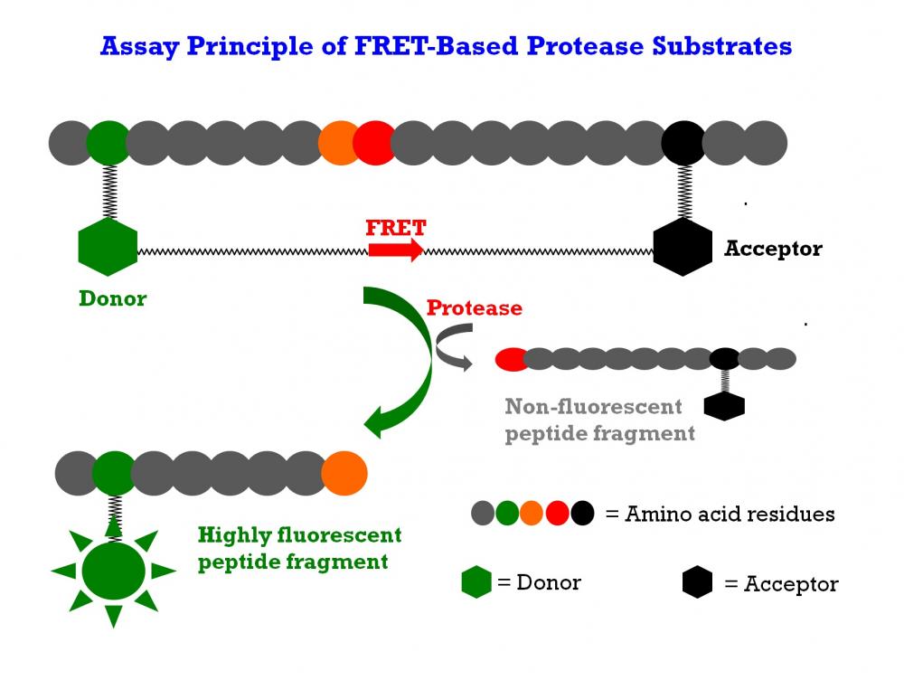 https://img.medsci.cn/e73eefcea40976357f460123cbf1e819c54e5106c9b457225be13b1cbc991aff.png