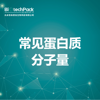 常见蛋白质分子量