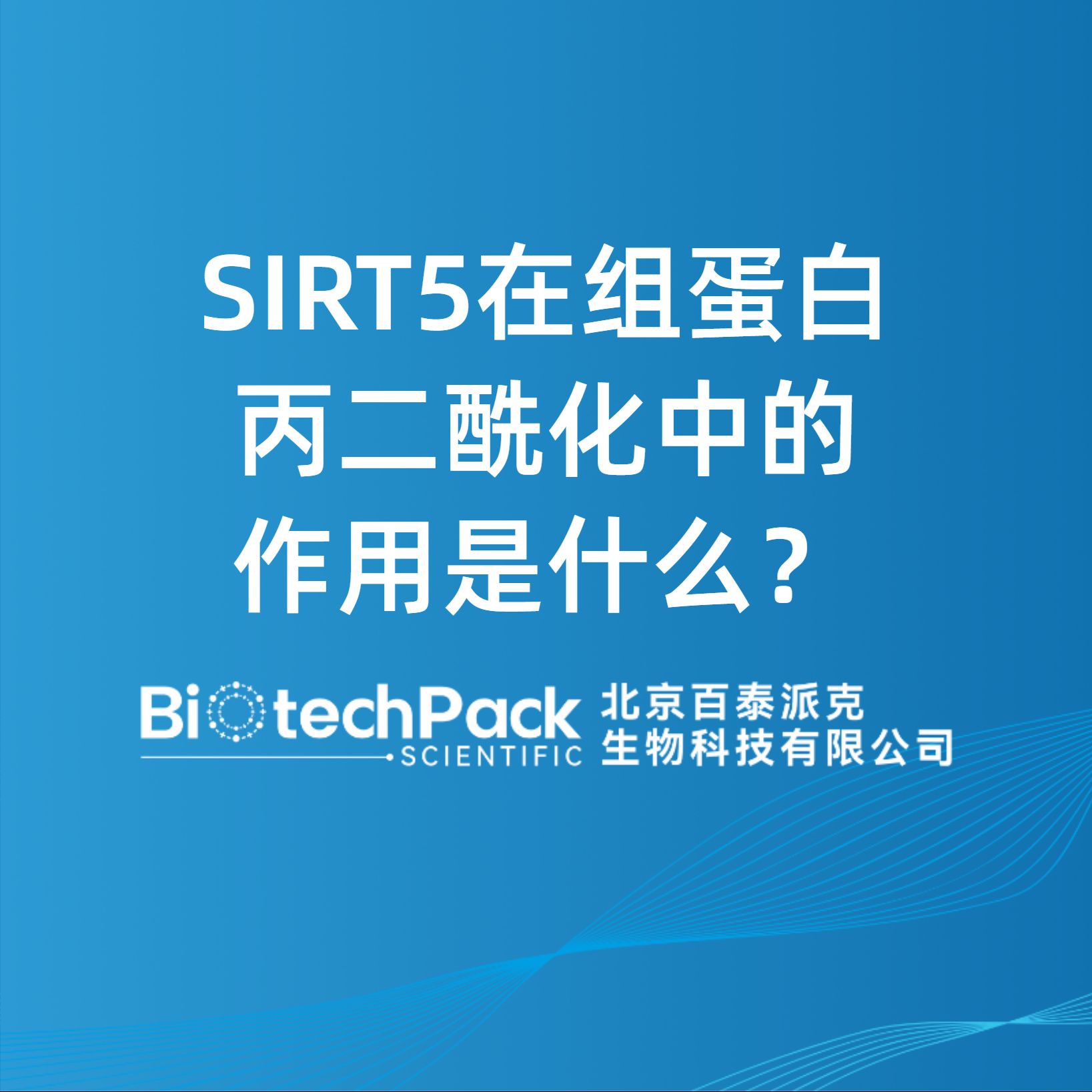SIRT5在組蛋白丙二?；械淖饔檬鞘裁?？