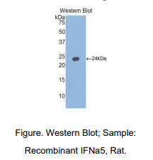 https://msimg.bioon.com/bionline/goods-no-pic.png