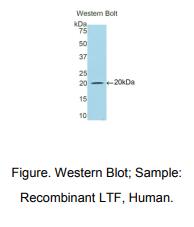 https://msimg.bioon.com/bionline/goods-no-pic.png