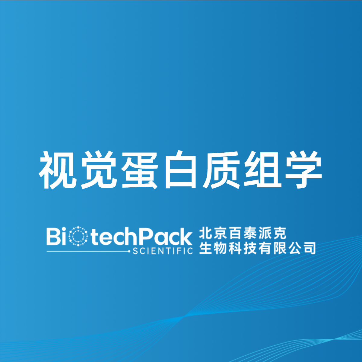 视觉蛋白质组学