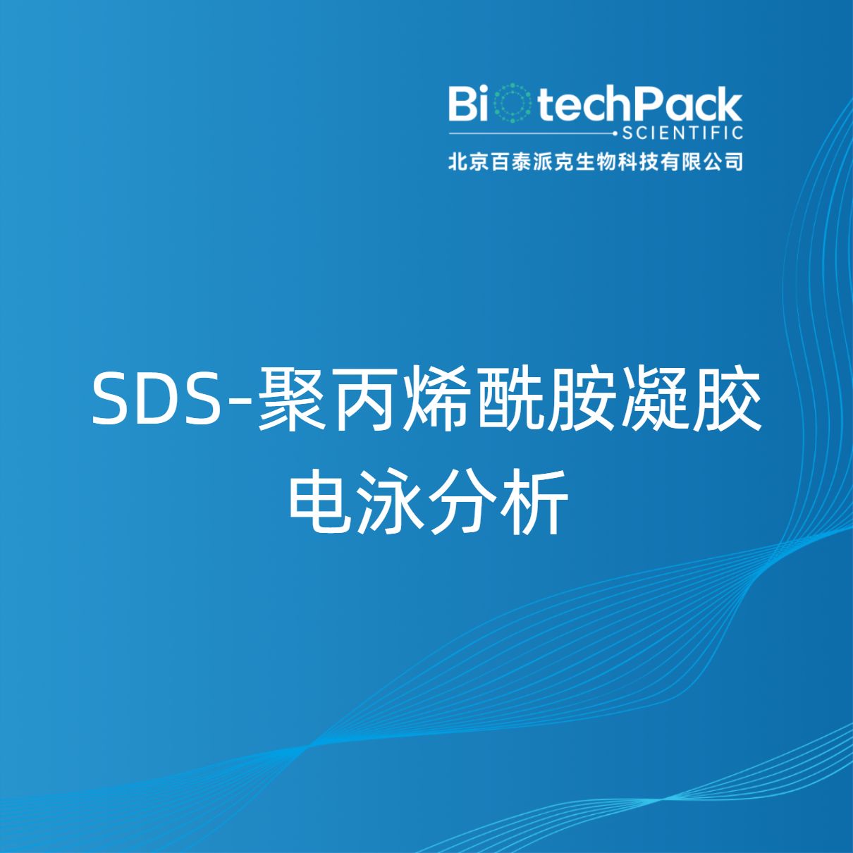 SDS-聚丙烯酰胺凝胶电泳分析
