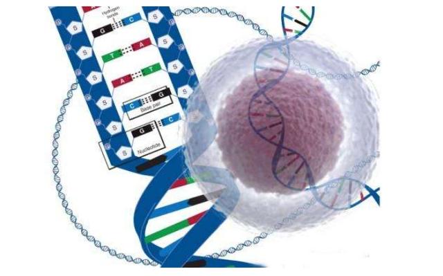 Agilent 2100生物芯片分析系统配套试剂--Small RNA kit