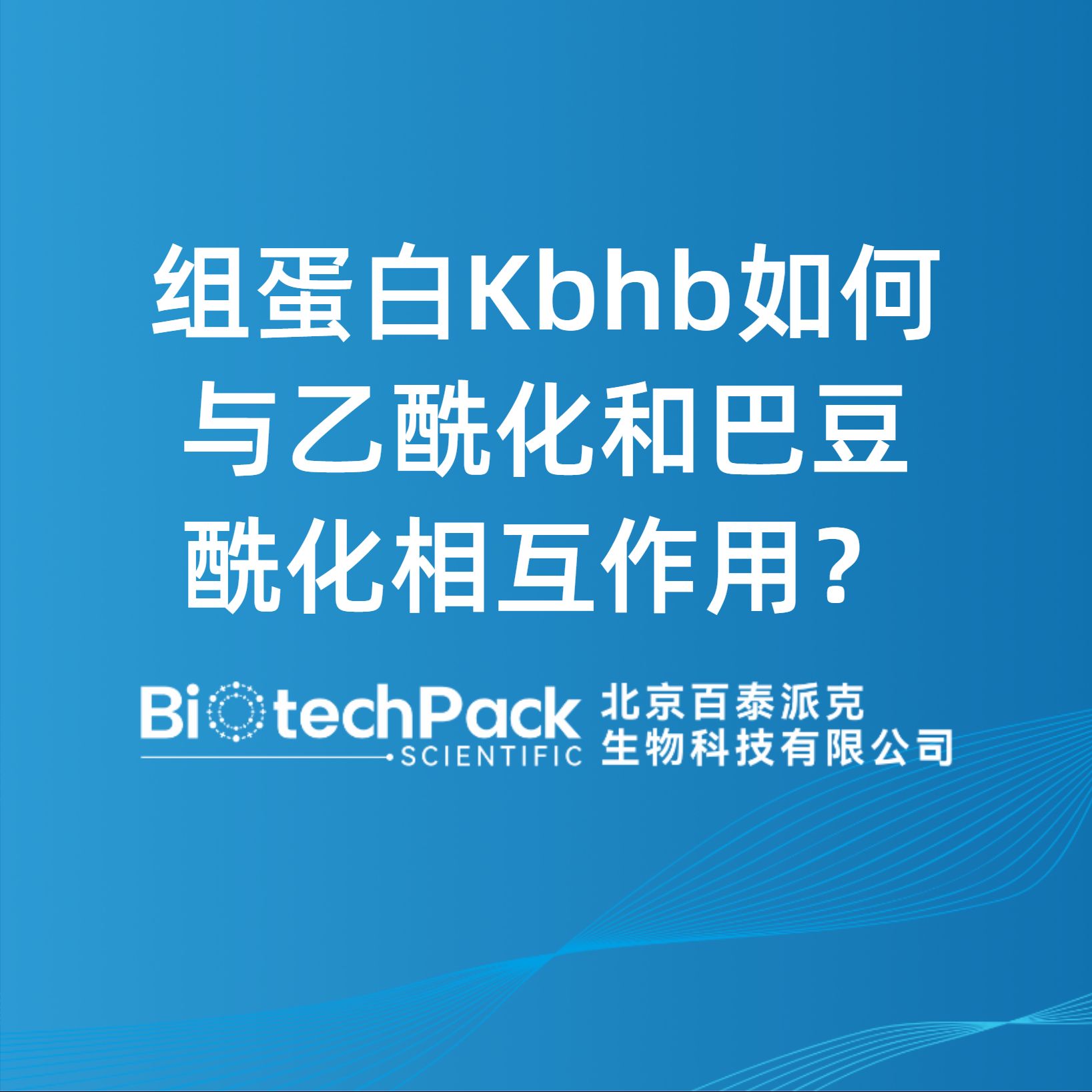 组蛋白Kbhb如何与乙酰化和巴豆酰化相互作用？