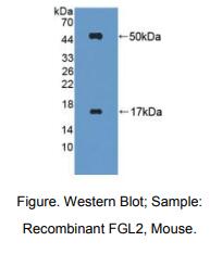 https://msimg.bioon.com/bionline/goods-no-pic.png