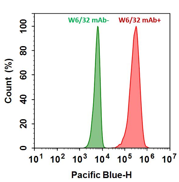 链霉亲和素偶联物 iFluor 700-标记