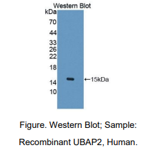 https://msimg.bioon.com/bionline/goods-no-pic.png