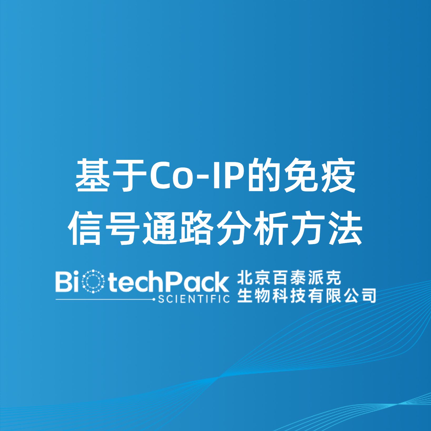 基于Co‑IP的免疫信号通路分析方法