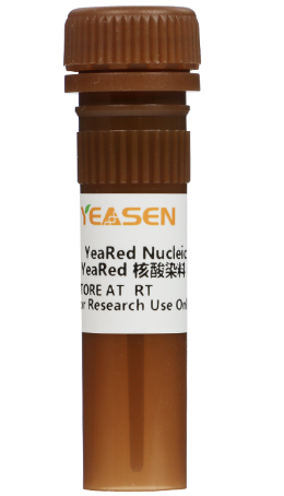 YeaRed核酸染料(10,000×水溶液) 无毒核酸染料