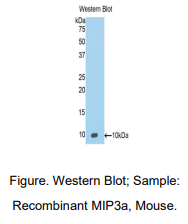 https://msimg.bioon.com/bionline/goods-no-pic.png