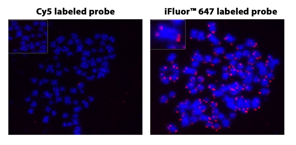 AAT Bioquest iFluor 647-PEG12-dUTP *1 mM TE 缓冲液
