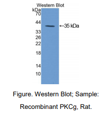 https://msimg.bioon.com/bionline/goods-no-pic.png