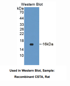 https://msimg.bioon.com/bionline/goods-no-pic.png