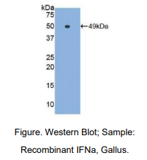 https://msimg.bioon.com/bionline/goods-no-pic.png