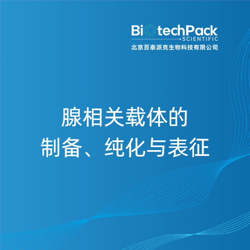腺相关载体的制备、纯化与表征
