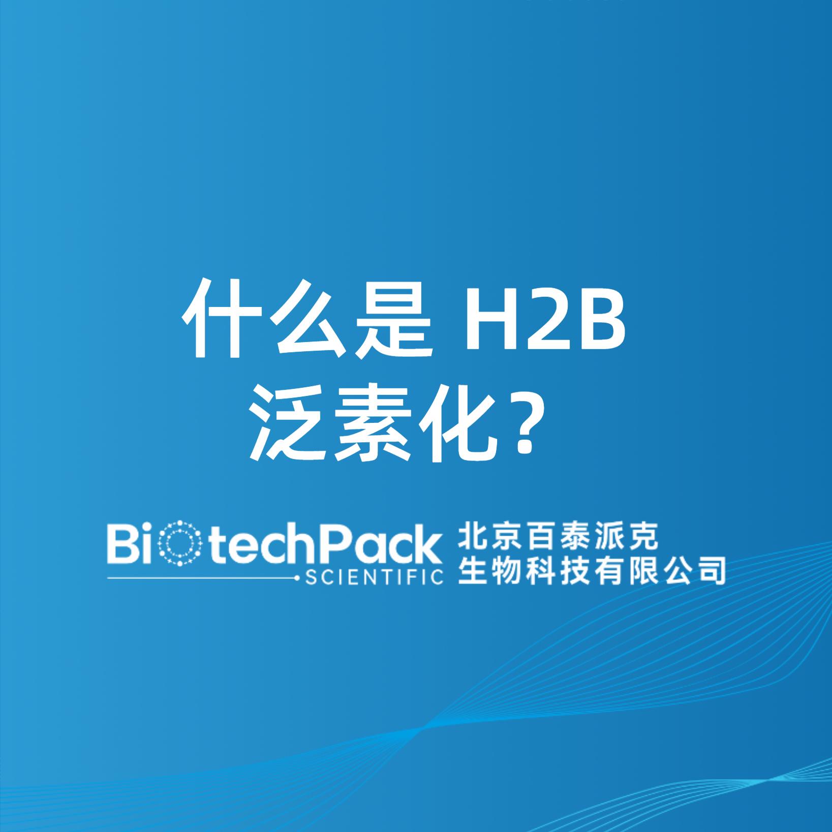 什么是 H2B 泛素化？