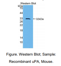 https://msimg.bioon.com/bionline/goods-no-pic.png