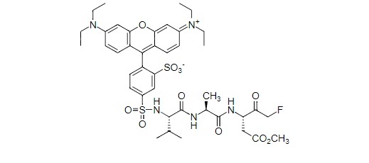 https://msimg.bioon.com/bionline/goods-no-pic.png