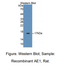 https://msimg.bioon.com/bionline/goods-no-pic.png