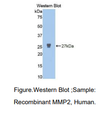 https://msimg.bioon.com/bionline/goods-no-pic.png