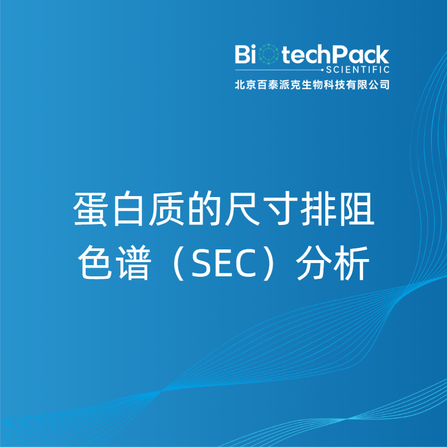 蛋白质的尺寸排阻色谱（SEC）分析
