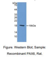 https://msimg.bioon.com/bionline/goods-no-pic.png