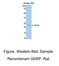 https://msimg.bioon.com/bionline/goods-no-pic.png