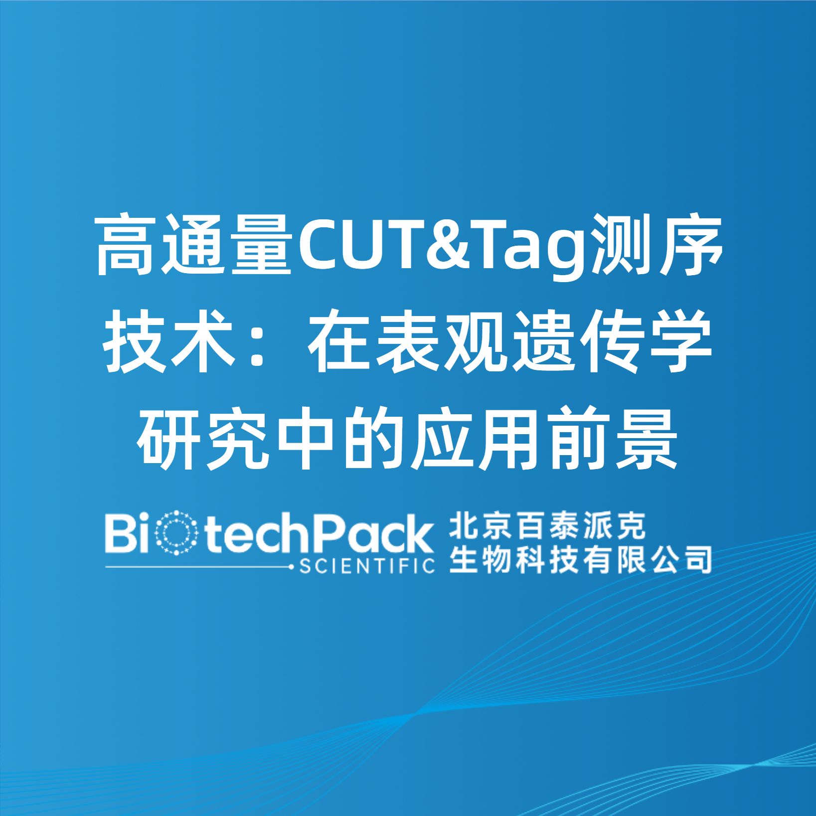 高通量CUT&Tag测序技术：在表观遗传学研究中的应用前景