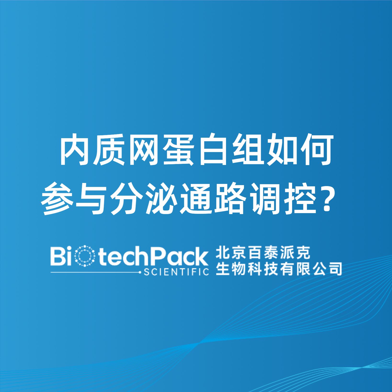 內質網蛋白組如何參與分泌通路調控？