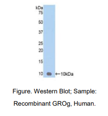 https://msimg.bioon.com/bionline/goods-no-pic.png