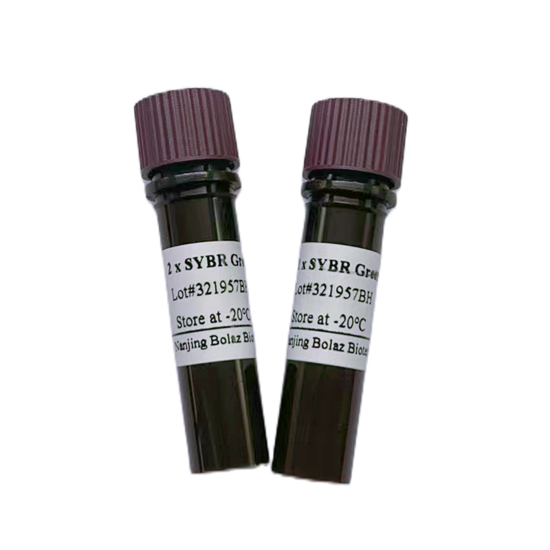 2×SYBR Green qPCR预混液（高保真）