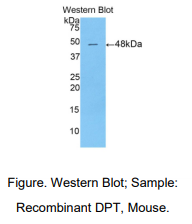 https://msimg.bioon.com/bionline/goods-no-pic.png