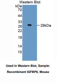 https://msimg.bioon.com/bionline/goods-no-pic.png