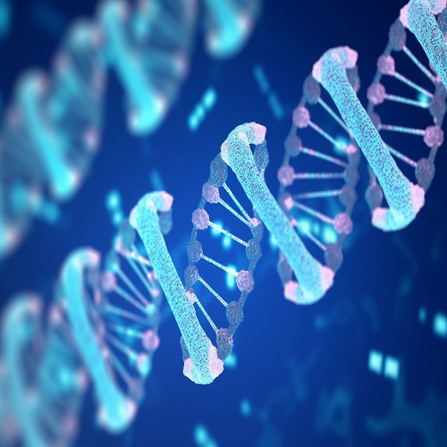 DNA组学｜全基因组重测序